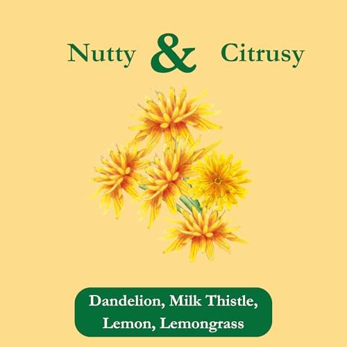 Tadin Organic Dandy Detox Tea with Dandelion Root for Liver Support, Caffeine Free Herbal Tea, 20 Tea Bags Per Box, Pack of 1