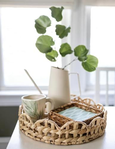 IHR Ideal Home Range Party Napkins Disposable 3-Ply Paper Lunch Napkin Pack, 6.5" x 6.5", Leaf And Stem (Green), 20-Count