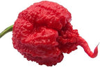 Carolina Reaper HP22B Pepper Premium Seeds for Planting Packet Record Hottest in The World