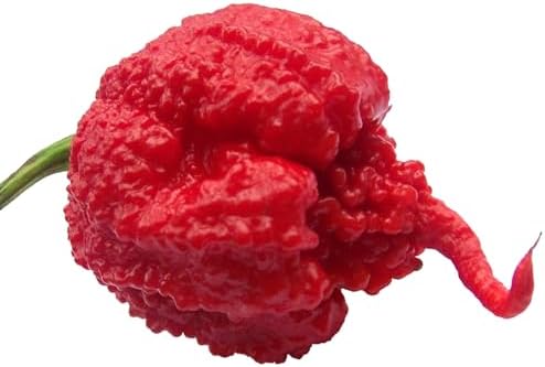 Carolina Reaper HP22B Pepper Premium Seeds for Planting Packet Record Hottest in The World