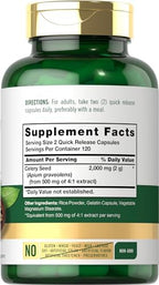 Carlyle Celery Seed Extract Capsules | 240 Count | Traditional Herb Supplement | Non-GMO and Gluten Free Formula
