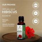 Hibiscus Oil 15 ML (0.51 Fl.OZ) | 100% Pure Natural Undiluted Uncut Therapeutic Grade Hibiscus Sabdariffa L Essential Oil