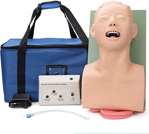 Skeleton Models PVC Oral Nasal Intubation Manikin with Tooth Alert Device Simulator Airway Management Trainer Intubation Head Teaching Teaches,Nursing Mannequin