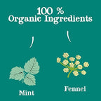 Clipper Tea Organic Mint & Fennel Herbal Tea, After Dinner Mints - USDA Organic, Non-GMO, Sustainable Caffeinated British Tea, 6 Pack, 120 Unbleached Tea Bags