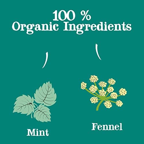 Clipper Tea Organic Mint & Fennel Herbal Tea, After Dinner Mints - USDA Organic, Non-GMO, Sustainable Caffeinated British Tea, 3 Pack, 60 Unbleached Tea Bags