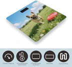 Dog French Bulldog Smart Body Weight, Highly Accurate Digital Weighing Scale with Large LCD Display, Durable Weight Scale for Home Use, Measures Weight Up to 400 Lb/180kg