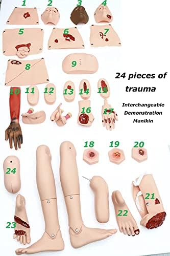 Teaching Model Tools,Multifunctional Patient Care Manikin Training 24 Wound Modules Care Anatomical Human Model Advanced Trauma Training Manikin Model Demonstration Manikin for Men