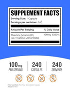 BulkSupplements.com Thiamine Mononitrate Capsules - as Vitamin B1, Thiamine B1 Supplement, Thiamine 100mg - Gluten Free, 1 Capsule per Serving, 240 Capsules (Pack of 1)
