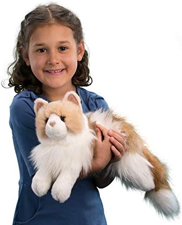 Douglas Kiki Ragdoll Cat Plush Stuffed Animal