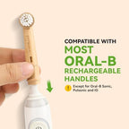 Replacement Toothbrush Heads Compatible with Oral-B, Eco-Friendly Bamboo Handle with Castor Oil Bristles (Plant-Based), BPA-Free, Biodegradable Handle (3 Count)