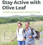Olive Leaf Extract (Non-GMO) Super Strength: 20% Oleuropein - 1500mg - Vegetarian - Immune Support Supplement, Skin Health, and Powerful Antioxidants Supplement - Liquid Extract - 8 Fl Oz