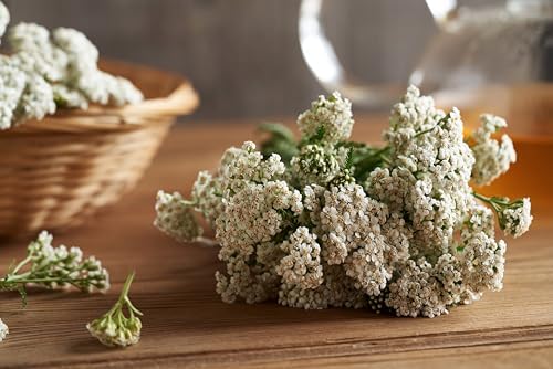 Yarrow Flower Tea - Ingredients: 100% Yarrow Flowers (Achillea Millefolium) - All Natural Ayurveda Herb - Net Weight: 1.05oz / 30g (Yarrow Flowers)