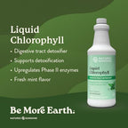 Nature's Sunshine Detox Support Duo | Liquid Chlorophyll & Aloe Vera Juice | Supports Gut Health, Digestion, Energy & Natural Detoxification