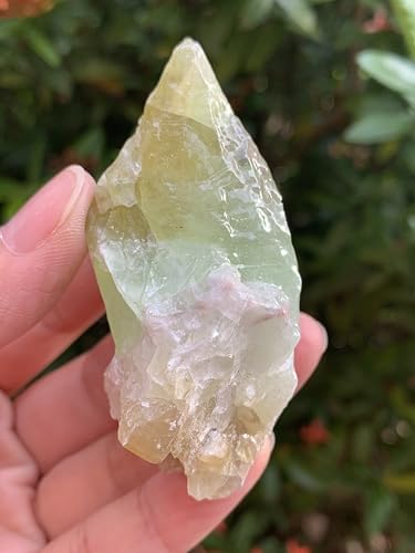GAF TREASURES Huge Green Calcite Rough Natural Stones, Raw Calcite Green Crystals (0.25-0.5 Pounds)