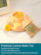 TeeLux Lemon Balm Tea Bags, Pure & Natural Lemon Balm Herbal Tea, Lemony & Citrusy Flavor, Caffeine Free, 100 Count