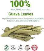 2.6oz Hoja De Guayaba, Dried Guava Leaf, 100+ Natural Guava Leaves, Aromatic Tea, Caffeine free, No Additives, Non GMO. By Akshit