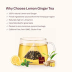 Nepaya Lemon Ginger Green Tea Bags – 50 Biodegradable Pyramid Teabags, Low Caffeine, Fruity Citrus Flavor with Zesty Lemon & Spicy Ginger, Premium High-Grown Nepal Green Tea