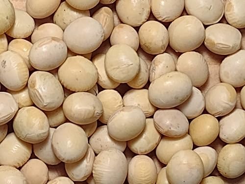 Organic Soybeans- nonGMO, 5 lbs., Farmer Direct, Identity Preseved, Dry Soybeans for Tofu and Soymilk.