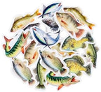 40pcs Edible Fish Cupcake Toppers Go Fishing Theme Decorations Baby Shower Boys Girls Happy Birthday Party Tropical Party Cake Picks Under The Sea Decoration Supplies