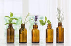 BlackBerry Essential Oil - 100% Pure Aromatherapy Grade Essential Oil by Nature's Note Organics - 0.3 Fl Oz