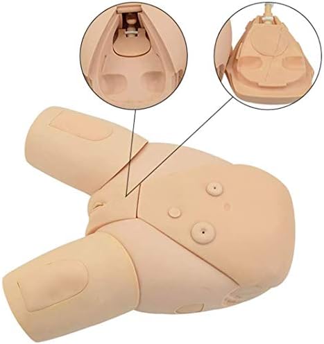 PPWYY Male and Female Manikin Urinary Catheterization Model Nursing Practice Simulator Interchangeable Mannequin for Nursing Medical Training