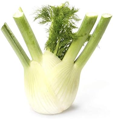 Organic Fennel, 1 Each