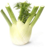 Organic Fennel, 1 Each
