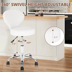 KLASIKA Rolling Swivel Salon Stool Chair with Back Support Adjustable Hydraulic for Office Massage Facial Spa Medical Drafting Tattoo Beauty Barber White