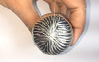 New Silver Stylist Solid Brass Handle Vintage-Brass Silver Cane Wooden Walking Stick Handle