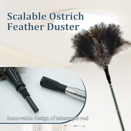 Extendable Feather Duster - 47 inches Soft Long Handle Reusable Feather Duster for Cleaning Ceiling Fan,Hanging lamp, High Ceiling, Blinds, Furniture，Ostrich Feather Duster