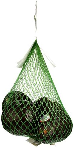 365 by Whole Foods Market, Organic Hass Avocados, 4 Count