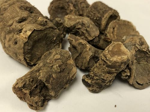 Pashan Bhed Root 100 g (3.52 oz) | Pashanbheda | Pathar Chatta | Bergenia Ligulata Roots | Dried Raw