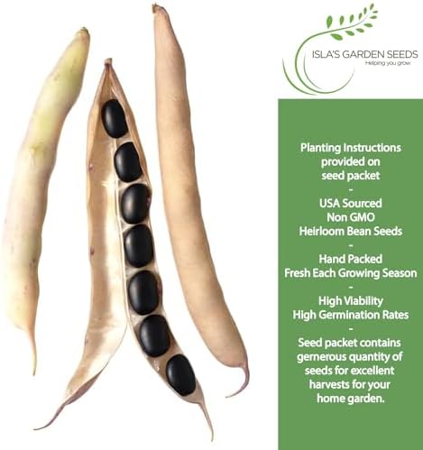 Black Turtle Soup Bean Seeds – 25+ Non-GMO & Heirloom Seeds, Phaseolus vulgaris, Rich Flavor Black Beans for Soups & Stews, High Yield Warm-Season Legume, by Isla’s Garden Seeds, Gift Idea