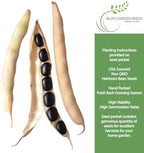 Black Turtle Soup Bean Seeds – 25+ Non-GMO & Heirloom Seeds, Phaseolus vulgaris, Rich Flavor Black Beans for Soups & Stews, High Yield Warm-Season Legume, by Isla’s Garden Seeds, Gift Idea
