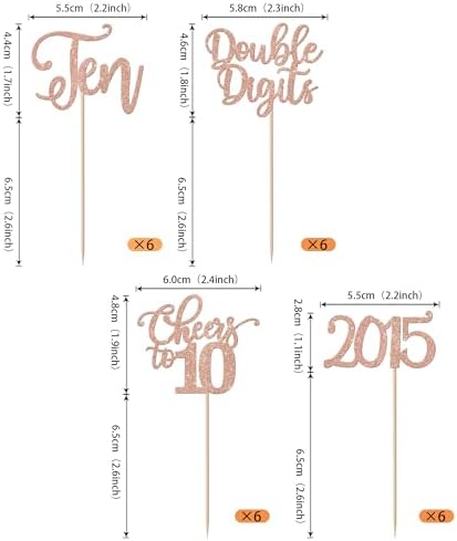 24 Pack 10th Birthday Cupcake Toppers Glitter Ten Since 2015 Hello 10 Years Birthday 10 Cupcake Picks Double Digits Cake Decorations for Happy 10th Birthday Anniversary Party Supplies Rose Gold