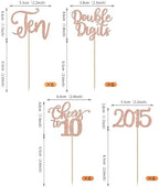 24 Pack 10th Birthday Cupcake Toppers Glitter Ten Since 2015 Hello 10 Years Birthday 10 Cupcake Picks Double Digits Cake Decorations for Happy 10th Birthday Anniversary Party Supplies Rose Gold