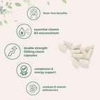 Micro Ingredients Niacin 500mg Per Serving, 400 Capsules | Flush Free B3 Vitamins | Double Strength Essential B Vitamin Supplement | Skin Care Health & Energy Support | Non-GMO, Gluten Free