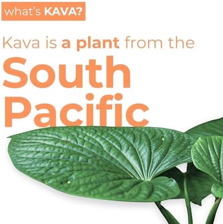 Leilo | Kava Powered Sparkling Relaxation Drink | Tangerine Mango - Non-Alc Calming Beverage | 12 fl oz Cans (Pack of 12)