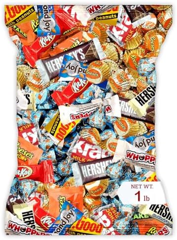 Bulk Chocolate Assortment Variety Pack - Chocolate Candy Variety Pack -Easter - 1 lb Bag of Milk, Dark, Bars and more! Bulk Candy Mix for Treat Bags (1 LBS)