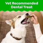 Greenies Veterinarian-Recommended Adult Natural Dental Dog Treats Regular Size, Dog Dental Chews, Original Flavor, 36 oz. Pack, 36 Count