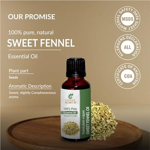 Fennel Sweet Oil (Foeniculum Vulgare) Essential Oil 100% Pure Natural Undiluted Uncut Therapeutic Grade Oil 0.16 Fl.OZ