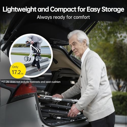 2-in-1 Transport Wheelchair & Mobility Device Combo, Pre-Assembled 17 lbs Lightweight Foldable Travel Chair with Seat for Seniors, 8" All Terrain Wheels, Support 330 lbs