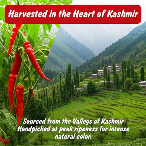 Spice Profile USDA Organic Low Heat Kashmiri Chili Powder, 4 oz, Lab Tested for Heavy Metals, Milder than Deggi Mirch Chilli, Chile rojo de Cachemira en polvo
