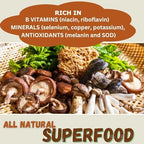 Cherie Sweet Heart 7 Mushroom Extract Powder – USDA Organic Superfood Blend with Lion's Mane, Reishi, Cordyceps, Maitake, Shiitake, Turkey Tail & Chaga – Vegan, Non-GMO, Gluten-Free – 3.5 oz