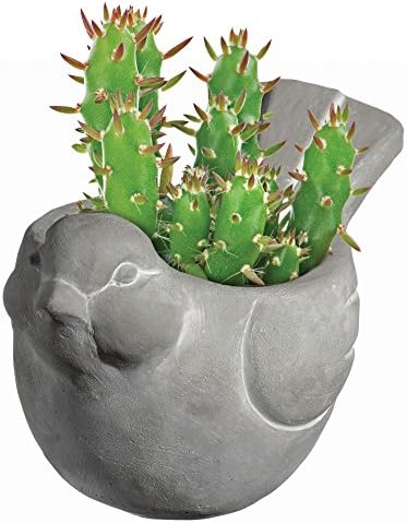 Classic Home and Garden Cement Buddies Animal Planter - Cute Desk Decoration - UV Coated Animal Vase w/Removable Drain Plug - Succulent Planter for Indoor/Outdoor Use (Bird Planter, Natural, Small)