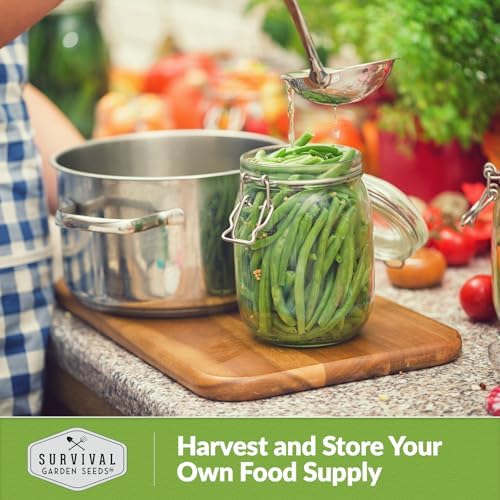 French Slenderette Green Bean Seeds for Planting - Haricot Vert Filet Bush Beans - Thin Tender Stringless Pods - Non-GMO Heirloom Gourmet Vegetable for Gardens - Survival Garden Seeds (1 Pack)