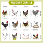 36Pcs Chicken Cupcake Toppers: Chicken Cake Decorations Chicken Party Decorations Chicken Birthday Decorations Farm Animal Cupcake Toppers