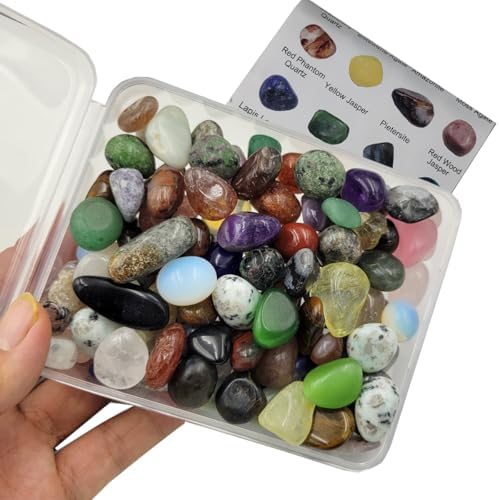 100Pcs+ (0.7lb) Bulk Gemstones and Crystals Set,25Types Tumbled Polished Stones Crystals for Jewelry Making,Chakra Stones Rocks and Minerals (0.7lb/100-120pcs)