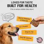 Dog Chits Lamb Lung Fillets Dog and Puppy Treats - Low Fat, High Protein Single Ingredient Dog Treat - Easy to Break Slices - Great for Training - Made in USA, Large 10 oz. Bag