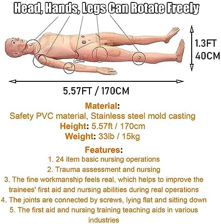 Patient Care Manikin Training 5.57FT Life Size, Anatomical Human Model Training CPR Simulator Basic, Full Body Training Mannequin, for Students Nursing Education Teaching Skills